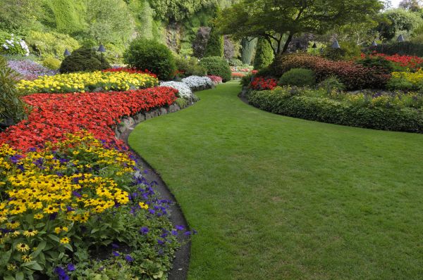 Landscaping Maintenance in Port Orchard