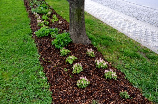 Mulch Replacement Service in Port Orchard