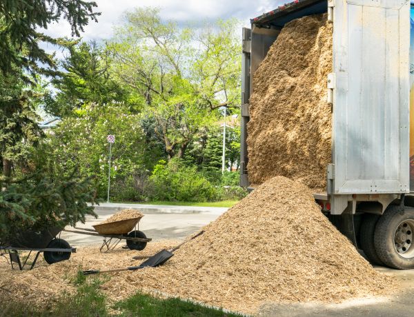 Wood Chips Delivery in Port Orchard