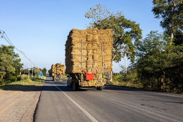 Pine Straw Delivery in Port Orchard