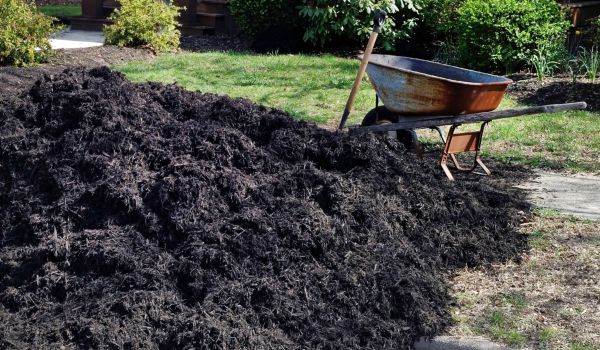 Black Mulch Delivery in Port Orchard