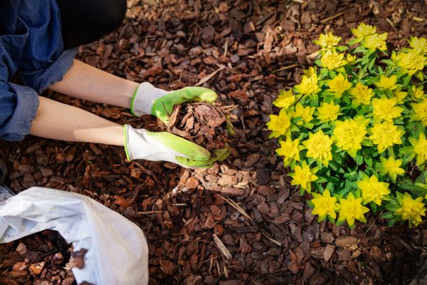 Garden Mulching in Port Orchard