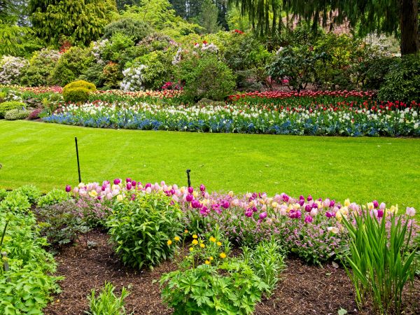 Residential Landscape Design in Port Orchard