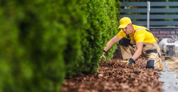Cypress Mulch Installation in Port Orchard