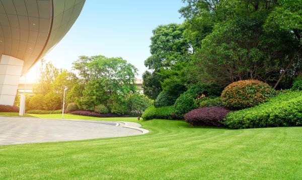 Business Landscape Design in Port Orchard