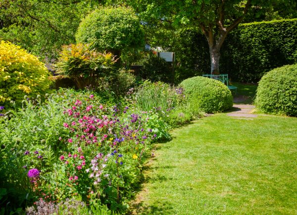 Yard Landscaping Service in Port Orchard