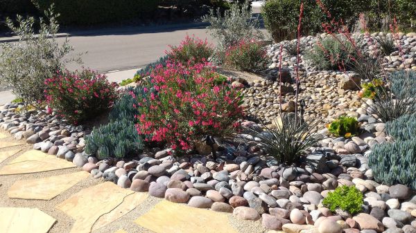Xeriscape Landscaping in Port Orchard