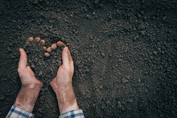 Soil Installation in Port Orchard
