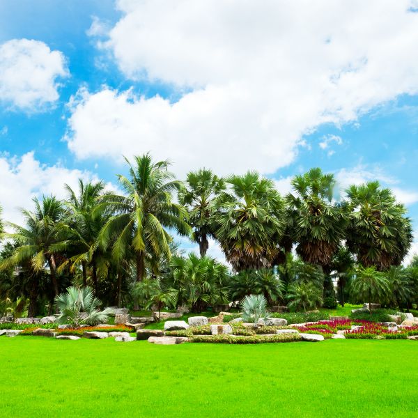 Tropical Landscaping in Port Orchard