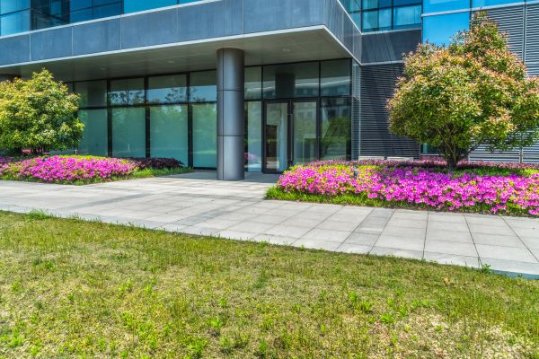 Commercial Gardening in Port Orchard