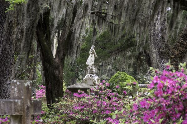 Cemetery Landscaping in Port Orchard