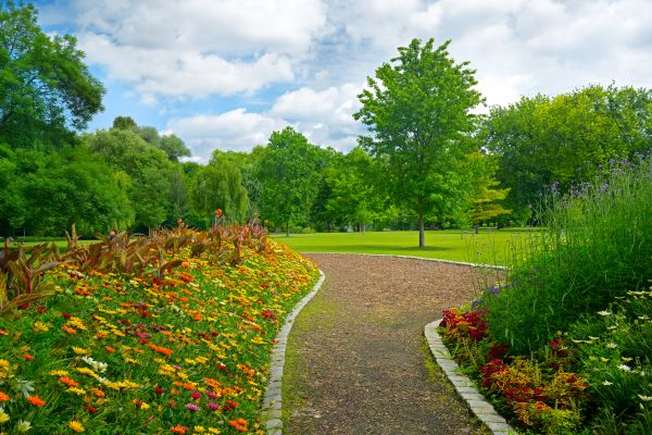 Park Landscaping in Port Orchard