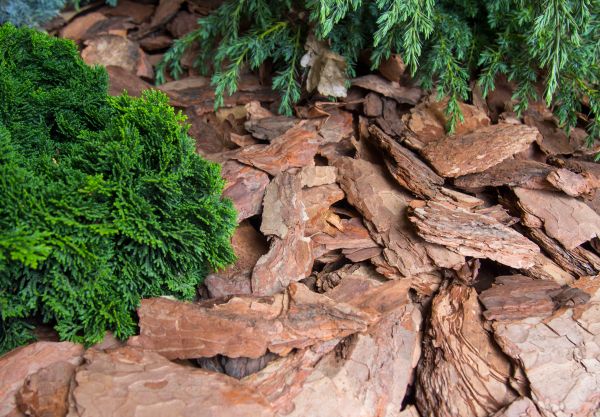 Pine Bark Installation in Port Orchard