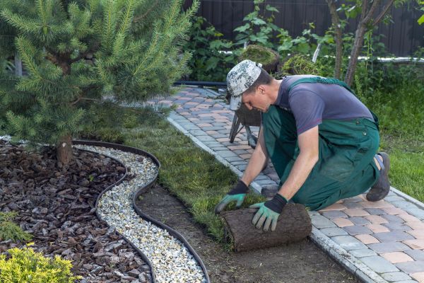 Landscaping Modification in Port Orchard