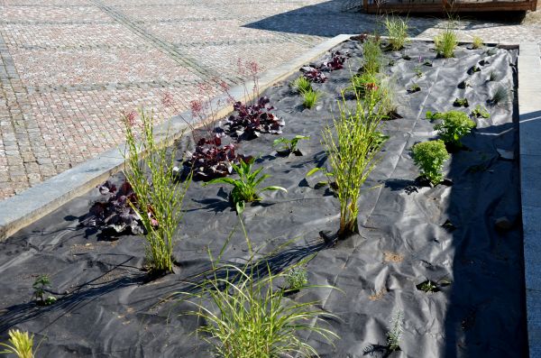 Landscape Fabric Installation in Port Orchard