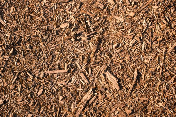 Wood Chips Removal in Port Orchard