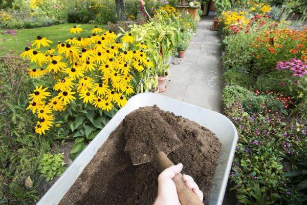 Topsoil Replacement in Port Orchard