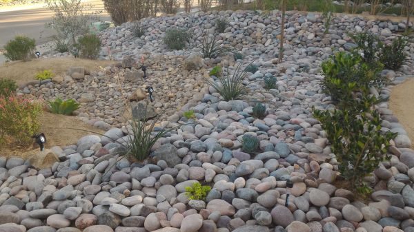 Yard Xeriscaping in Port Orchard