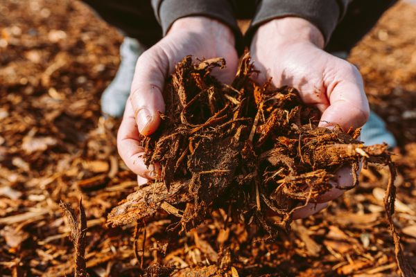 Bark Chips Delivery in Port Orchard