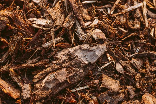 Bark Mulch Delivery in Port Orchard
