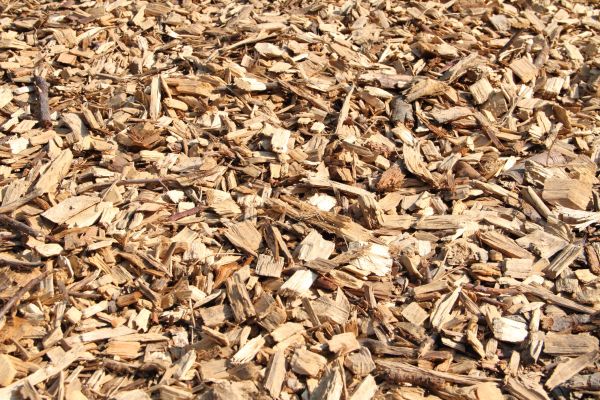 Wood Mulch Delivery in Port Orchard