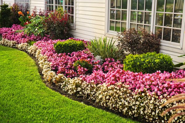 House Landscaping in Port Orchard