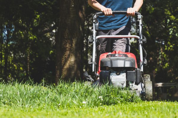 Garden Trimming Service in Port Orchard