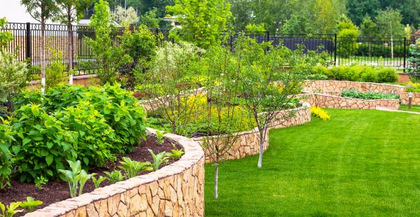 Yard Makeover Service in Port Orchard