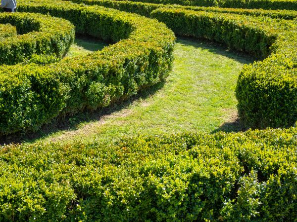 Bush Landscaping in Port Orchard