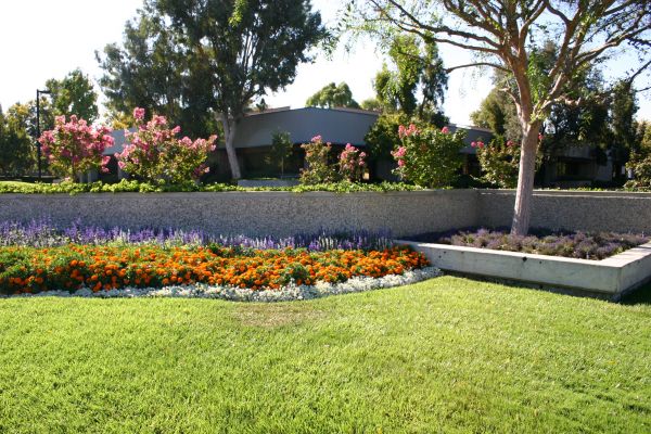 Commercial Landscape Service in Port Orchard