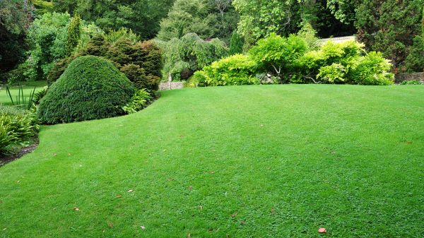 Commercial Landscape Design in Port Orchard