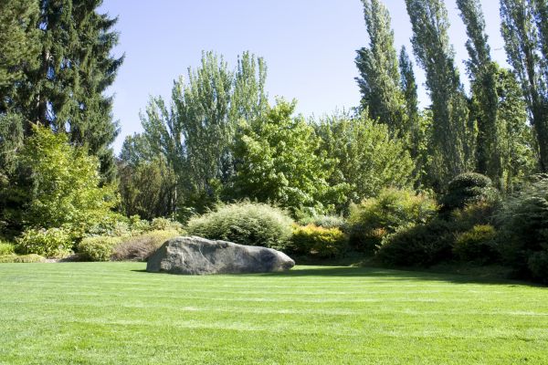 Yard Enlargement in Port Orchard