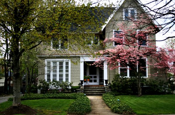 Ornamental Tree Planting in Port Orchard