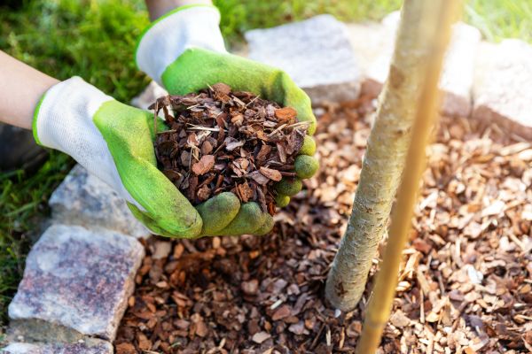 Tree Bark Delivery in Port Orchard