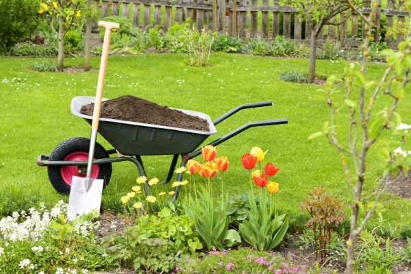 Spring Yard Renovation in Port Orchard