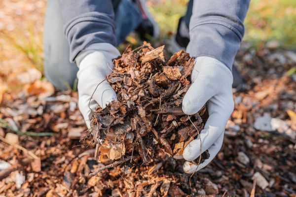 Shredded Mulch Installation in Port Orchard