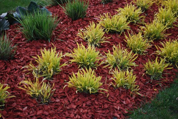 Red Mulch Installation in Port Orchard