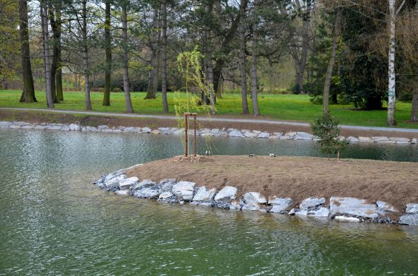 Pond Landscaping Service in Port Orchard