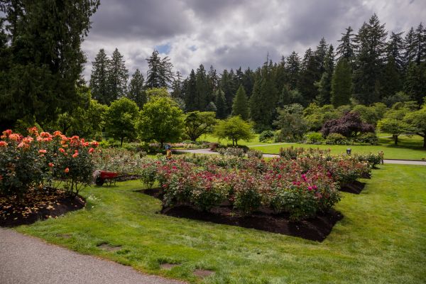 Flower Garden Landscaping in Port Orchard