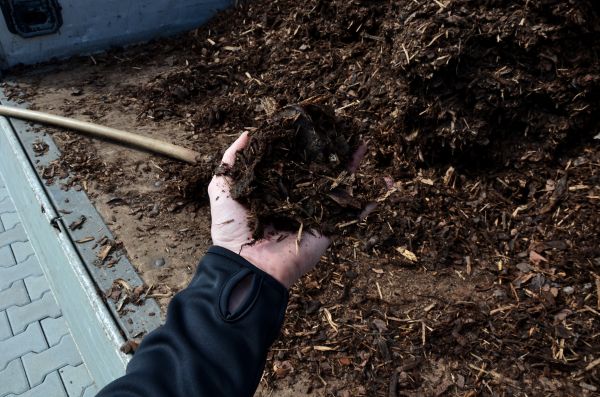 Condo Mulching in Port Orchard