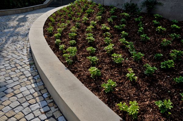 Commercial Mulching in Port Orchard
